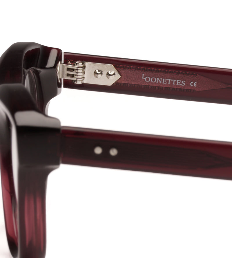 Close-up of a pair of sunglasses with 'Loonettes' branding on a white background