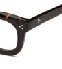 Loonettes Splendor | Brown tortoise